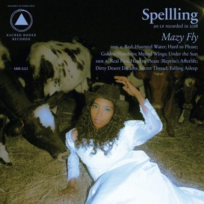 Mazy Fly - CD (0843563110133)