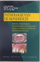 Pathologie van de mondholte - I. van der Waal - Paperback (9789031338740)