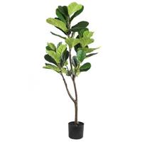 PTMD Tree Green fiddle leaf fig in black pot small