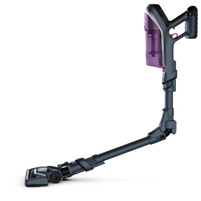 Rowenta X-Force Flex 8.60 RH9638 Steelstofzuiger