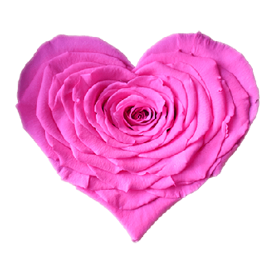 Longlife Rozenhartje donker roze Longlife Rozenhartje donker roze