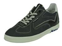 Floris Van Bommel Floris Sport