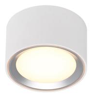 Nordlux Fallon LED-Aufbauleuchte LED LED fest eingebaut 5.5W Warm white white, stainless steel (gebürstet)