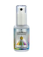 Lichtwesen Scheppingsstraal tinctuur calcium turquoise 74 (30 ml) - thumbnail