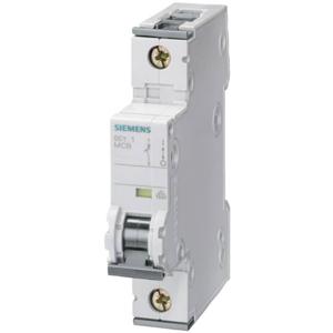 Siemens 5SY41027 5SY4102-7 Zekeringautomaat 2 A