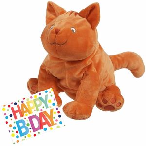 Pluche knuffel Dikkie Dik kat/poes 43 cm met A5-size Happy Birthday wenskaart