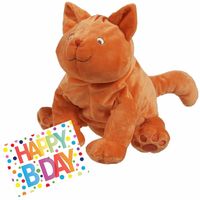 Pluche knuffel Dikkie Dik kat/poes 43 cm met A5-size Happy Birthday wenskaart - thumbnail