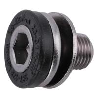 Stronglight Unisex - volwassenen M10x100 crankschroef, zwart/zilver, eenheidsmaat