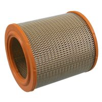 Luchtfilter 22555
