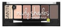 Eyeshadow palette nudy shade