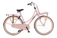 Popal | Damesfiets | Daily Dutch Basic 28 | Staal | Zalm