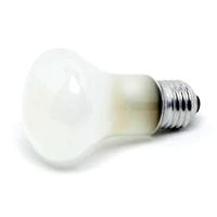 ELINCHROM pilotenlamp 100W 196V voor D-lite zaklamp