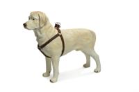 Beeztees Soft Touch - Hondentuig - Bruin - 35-50 cm