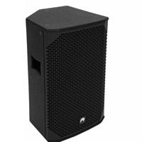 Omnitronic AZX-215 passieve tweeweg 300 Watt speaker