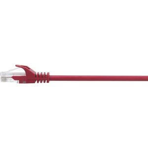 Renkforce RF-5044012 RJ45 Netwerkkabel, patchkabel CAT 5e U/UTP 3.00 m Rood Snagless 1 stuk(s)