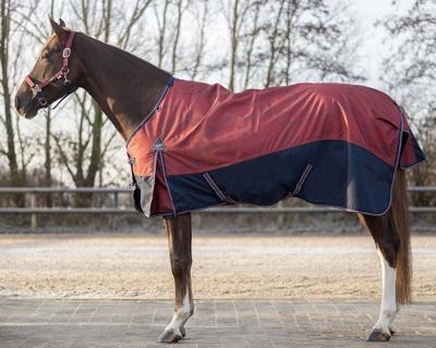 QHP Falabelladeken Turnout 150grs collection QHP Falabelladeken Turnout 150grs collection