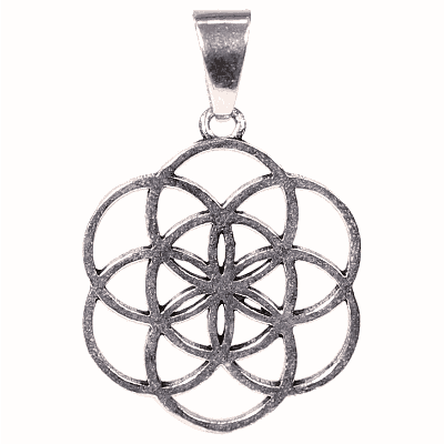 Hanger Bloem des Levens Messing Zilverkleurig Hanger Bloem des Levens Messing Zilverkleurig