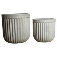 Society of Lifestyle 206560100 plantenbak Cement