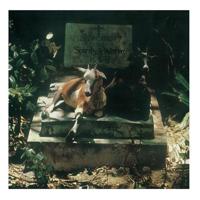 Spirits & Worm - LP (0889397107482)