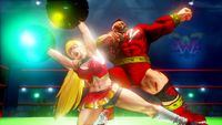 Capcom Street Fighter V: Champion Edition (PS4) Kampioen Meertalig PlayStation 4 - thumbnail