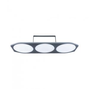 Paulmann 94510 buitenverlichting Buitengebruik plafondverlichting Niet-verwisselbare lamp(en) LED 2 W Antraciet G