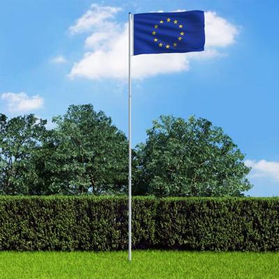 vidaXL Vlag met vlaggenmast Europa 6 m aluminium