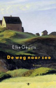 De weg naar zee - Elke Geurts - ebook