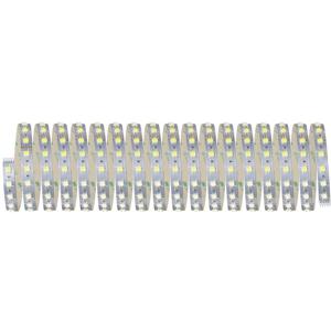 Paulmann MaxLED 70565 LED-strip Met connector (male) 24 V 10 m Warmwit, Neutraalwit, Daglichtwit 1 stuk(s)