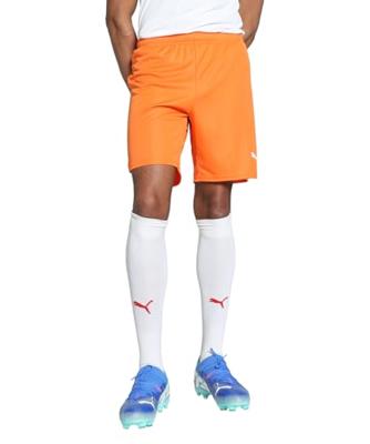 PUMA teamGOAL Korte broek