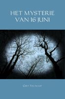 Het Mysterie van 16 Juni - Gert Veltkamp - ebook