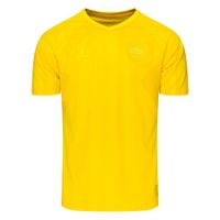 Denemarken Keepersshirt WK 2022