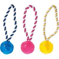 Hondenspeelgoed Bal met Koord 6 x 6 x 12 cm Flamingo Multicolor
