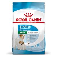 ROYAL CANIN SHN Mini Starter Mother & Babydog Dry Dog Food Poultry 8 kg