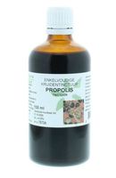 Natura Sanat Propolis tinctuur (100 ml) - thumbnail