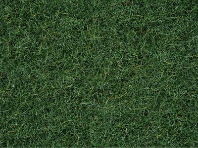 NOCH Scatter Grass “Marsh Soil” schaalmodel onderdeel en -accessoire Planten