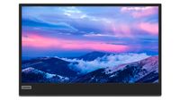 Lenovo L15 LED display 39,6 cm (15.6") 1920 x 1080 Pixels Full HD Zwart, Grijs - thumbnail