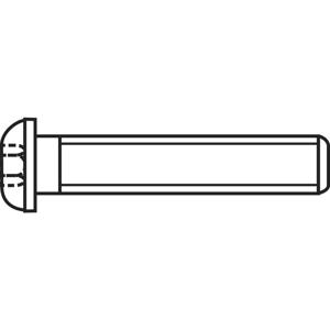 TOOLCRAFT 839796 Lenskopschroeven M3 20 mm Binnenzeskant (inbus) RVS A2 100 stuk(s)