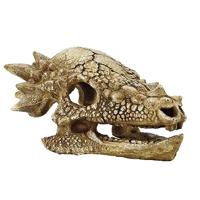Superfish skull t rex m