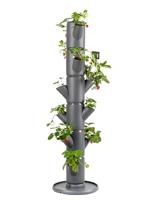 GUSTA GARDEN Sissi Strawberry (Classic, antraciet/grijs) - plantenbak / pot/plantentoren / verhoogd bed voor aardbeien - voor balkon, tuin en terras - aardbeien en kruiden aanplanten