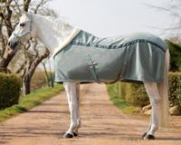 QHP Showdeken Equestrian Dream