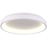 Deko Light Merope Plafondopbouwarmatuur LED LED vast ingebouwd 60 W Energielabel: F (A - G) Warmwit, Neutraalwit Verkeerswit (RAL 9016) - thumbnail