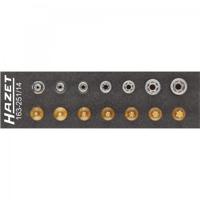 Hazet 163-251/14 Dopsleutel-bitinzetset 1/4 (6.3 mm) 14-delig