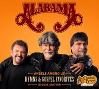Angels Among Us: Hymns & Gospel Favorites - DVD (0617884918194)