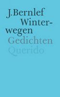 Winterwegen - J. Bernlef - ebook - thumbnail