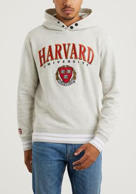 Harvard