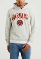 Harvard