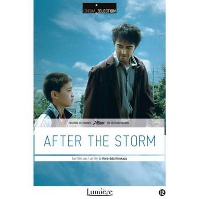 After The Storm (DVD) After The Storm (DVD)