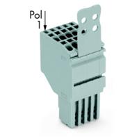 WAGO 2020-206/133-000 Connector, female Grijs 25 stuk(s) - thumbnail