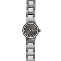 Horlogeband Skagen SKW2831 Roestvrij staal (RVS) Grijs 14mm