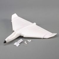 Replacement Airframe: Delta Ray One (EFL9501) - thumbnail